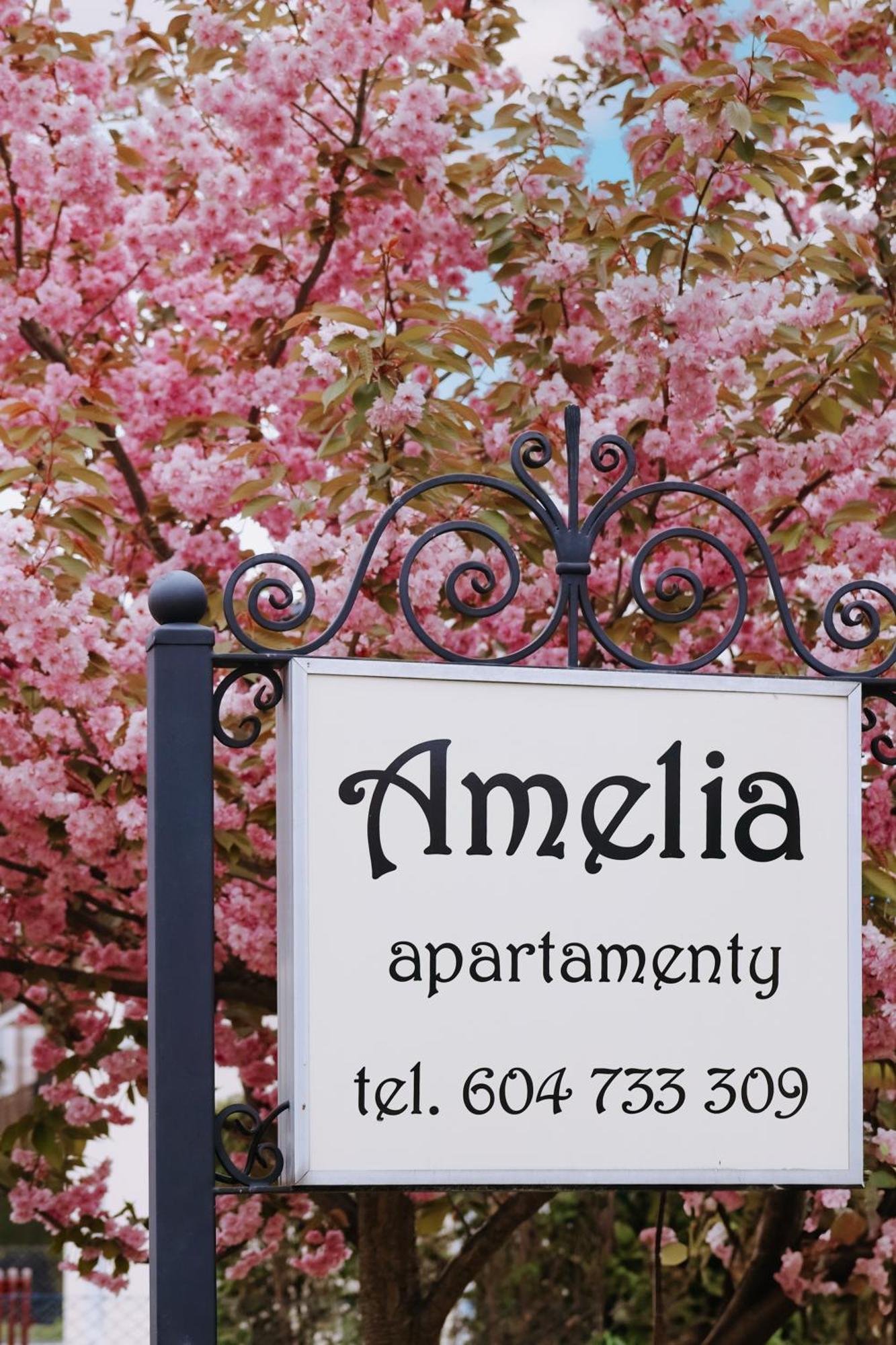 Amelia Apartamenty - Sala Zabaw, 2 Sypialnie, Garaz Podziemny Władysławowo 外观 照片